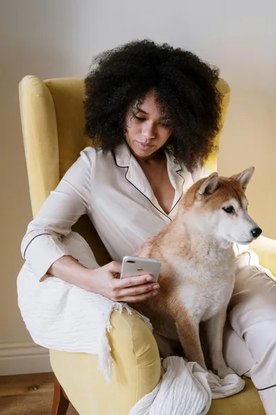 frau sitzt mit hund auf dem sessel und schaut auf ihr handy